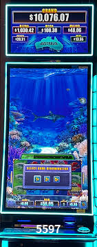 VIP Casino 5597